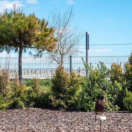Bay Line Apartamento Armação de Pêra